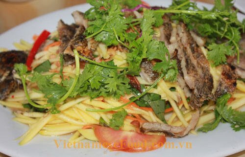 www.vietnamesefood.com.vn/green-mango-salad-with-moonlight-gourai-fish-recipe