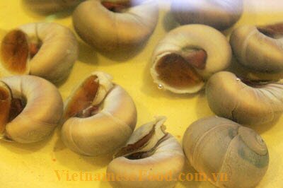 fried-periwinkle-with-satay-recipe-oc-mo-xao-sa-te