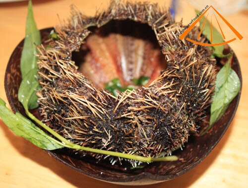 vietnamesefood.com.vn/vietnamese-sea-urchins